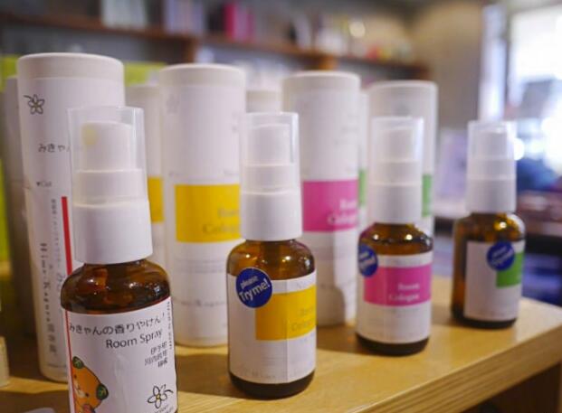 日本下北泽服装店,日本的下北泽