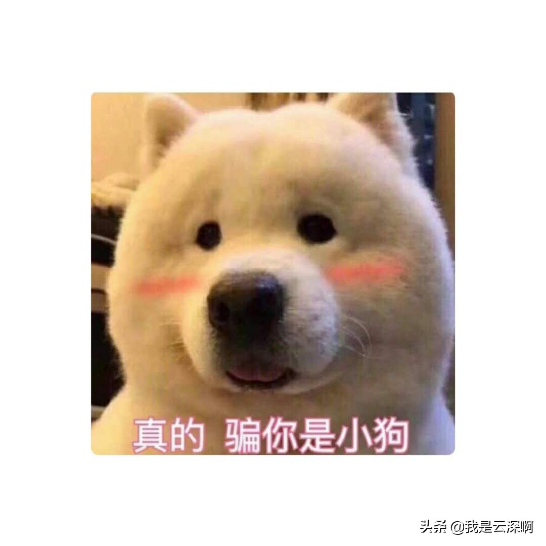 香水是智商税,香水智商税