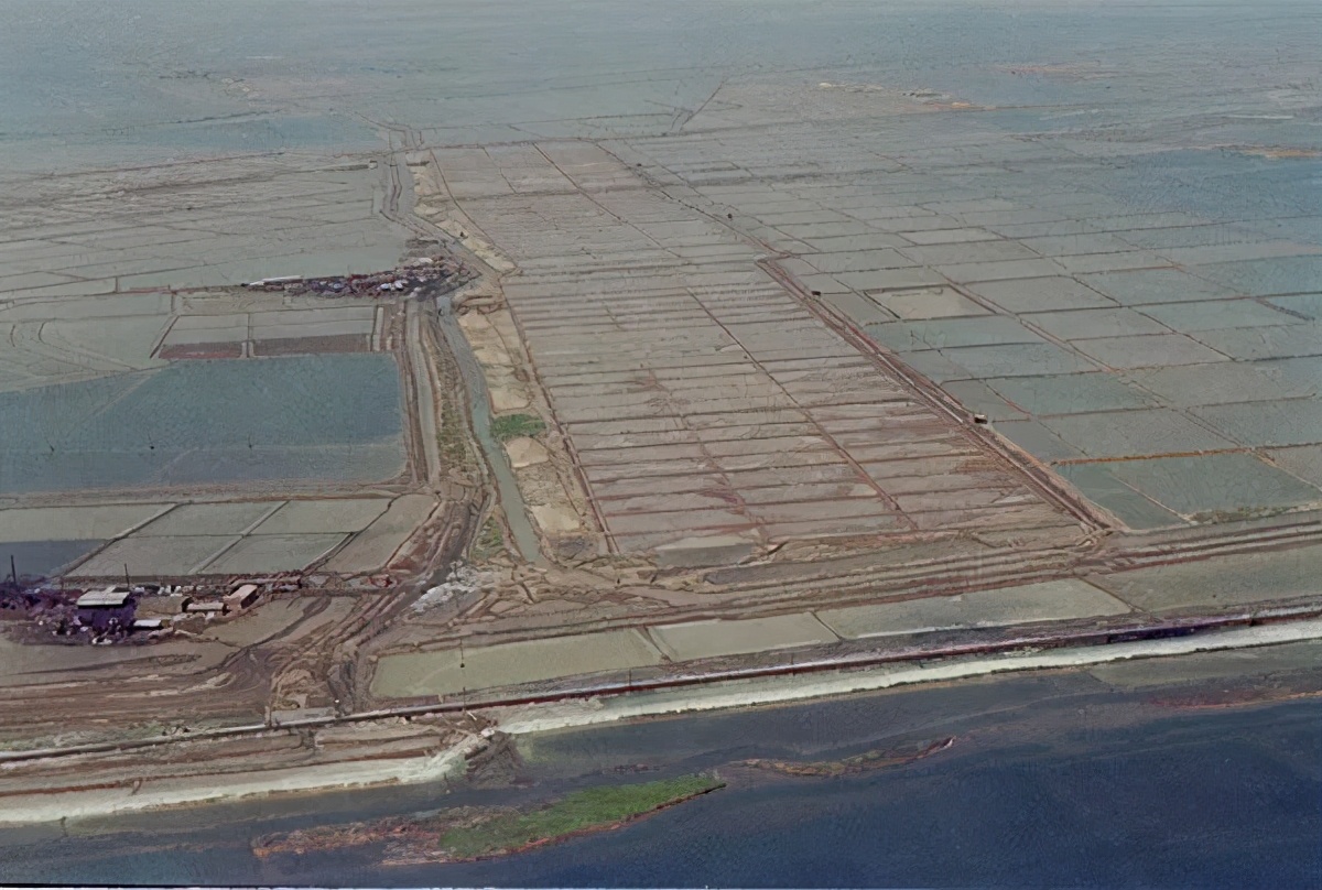 泰达有未来么,泰达论坛