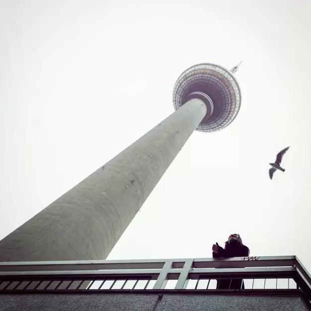 关于德国的十件事,德国最新真实消息