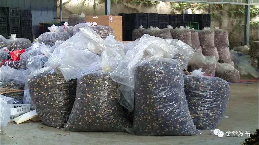 对外交通70年，金堂人霸气“出走”