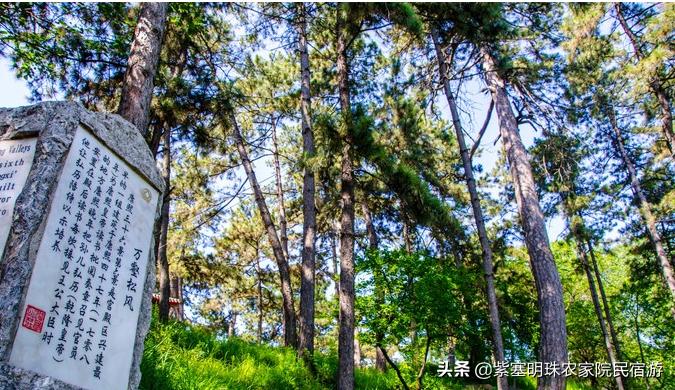 十一长假游承德避暑山庄详细攻略，看了如临其境！无需解说员