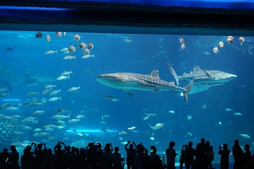 珠海有哪些好玩的地方或景点啊,珠海旅游攻略必去景点排行榜