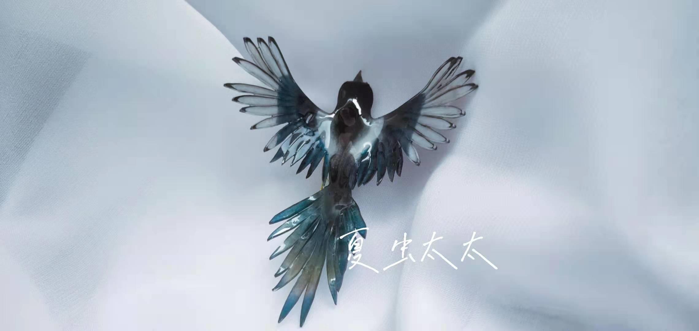 为什么喜鹊是个吉祥鸟,喜鹊真的喜鹊吗