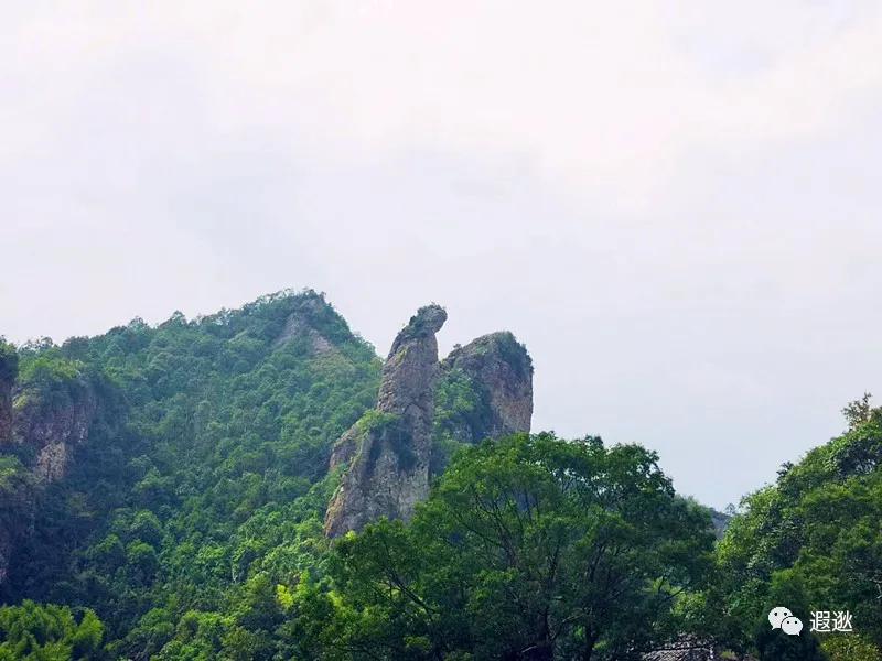 乐清仙溪有哪里好玩的 (乐清仙溪镇景点)