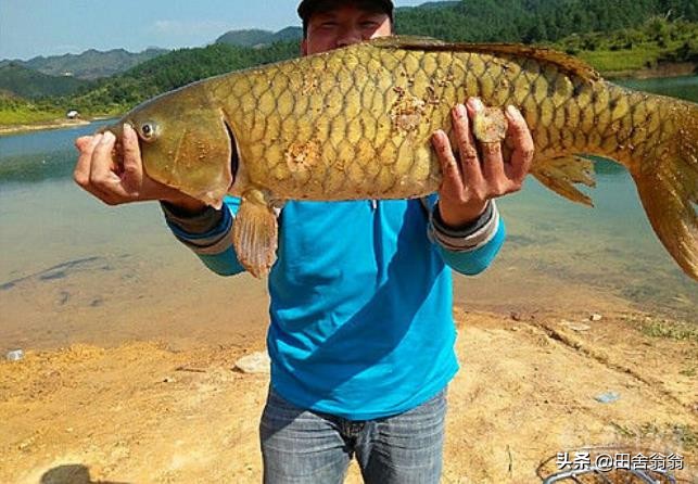 春季钓鱼小技巧新手学会秒变老手,春季钓鱼的技巧及其注意事项