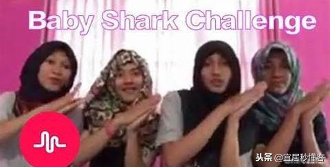 宜家小鲨鱼,为什么宜家鲨鱼火了