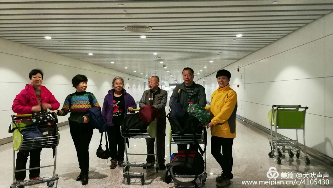 花甲后的新西兰自驾之旅（一）