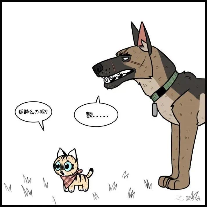 小猫咪欺负大狗漫画,小猫咪欺负大狗漫画暖心