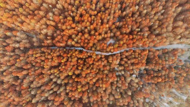 黄山各个景区名称,安徽黄山就是徽州吗