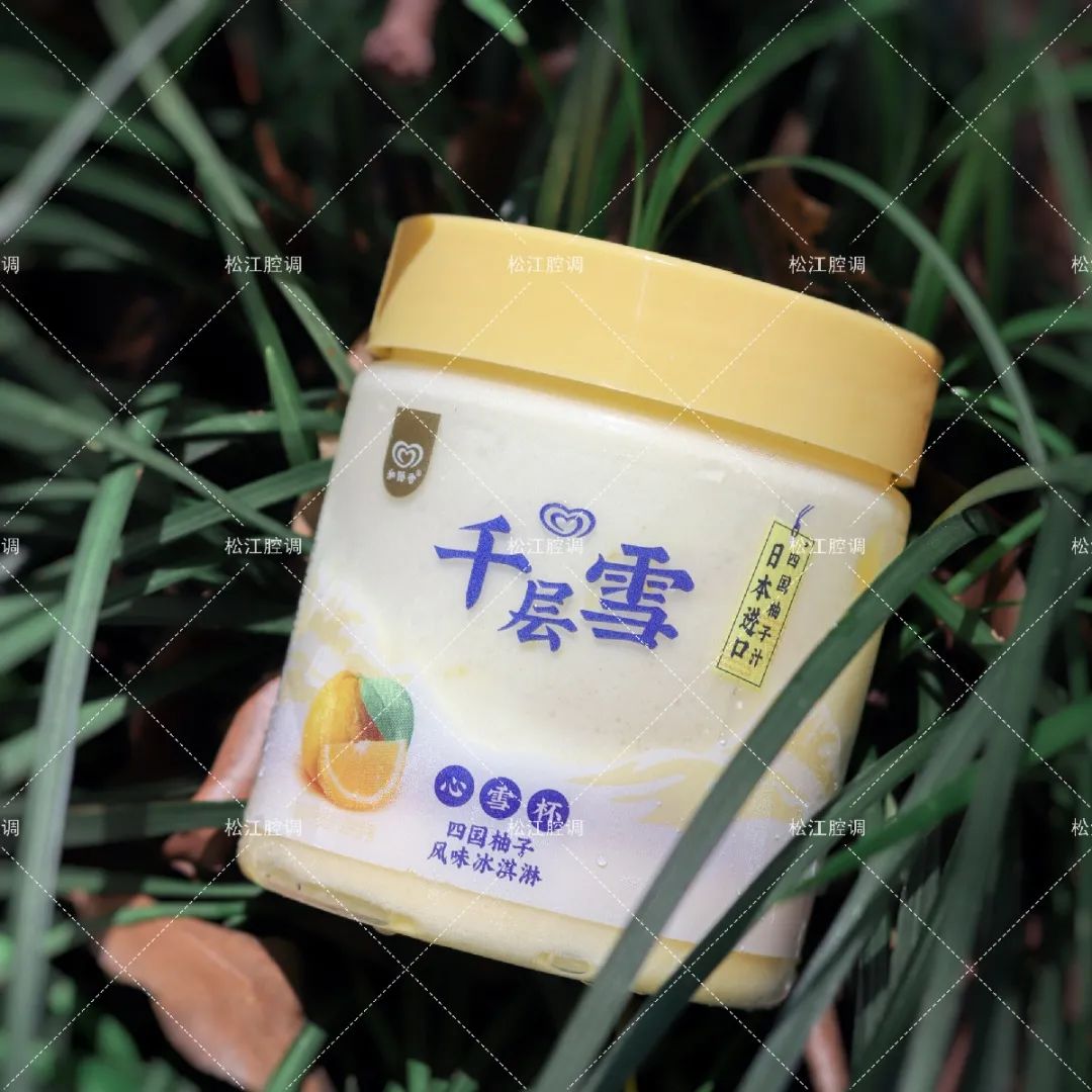 夏日网红解暑饮品,冬天高颜值甜品网红冷饮