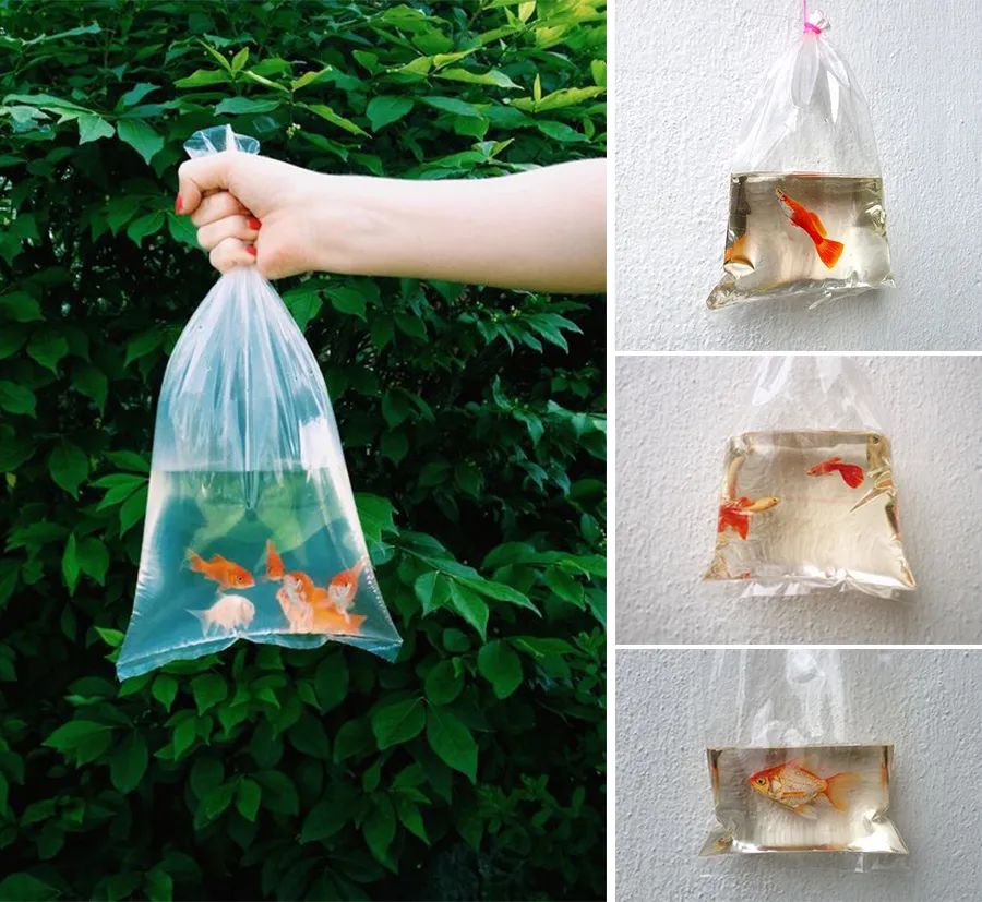 小金鱼吐泡泡儿童画教学目标,彩色小金鱼创意儿童画