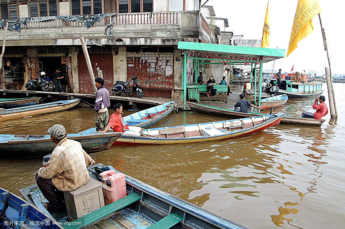 印尼加里曼丹红龙价格,加里曼丹红龙与大湖红龙