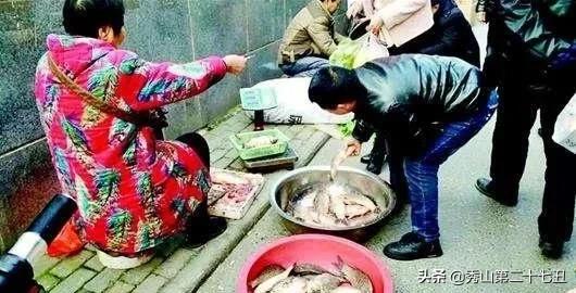 去菜市场买什么淡水鱼好,市场能买到的五大淡水鱼