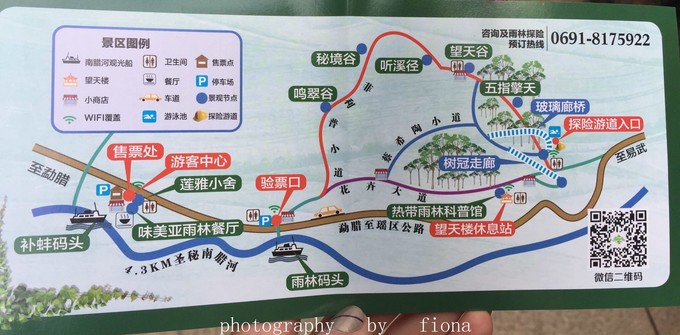 南宁至西双版纳旅游吃住行攻略,云南西双版纳旅游景点攻略自由行