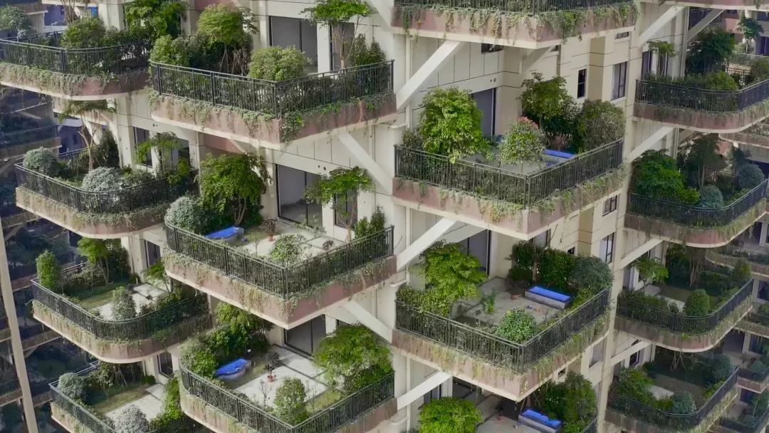 爆炸案宣判被告人被判,李某等23人涉黑一案