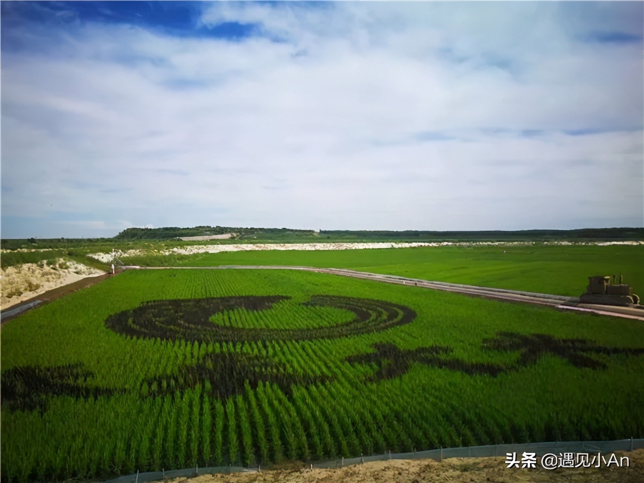 泰来大米有名吗,泰来县米业排名