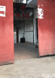 每日一笑农村搞笑视频,每天笑一笑小技巧