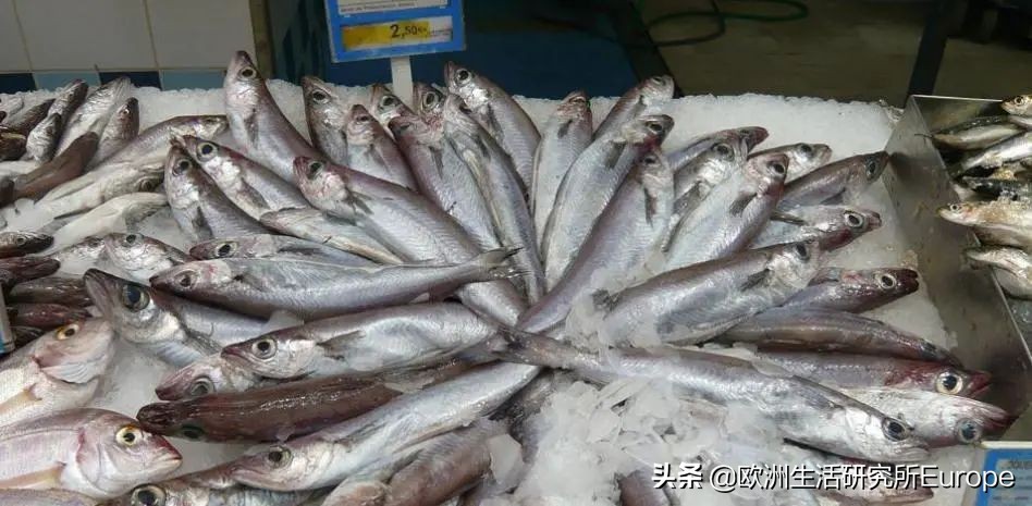 西班牙超市最全的鱼类挑选指南！据说这种山寨鱼对人体大大有害？
