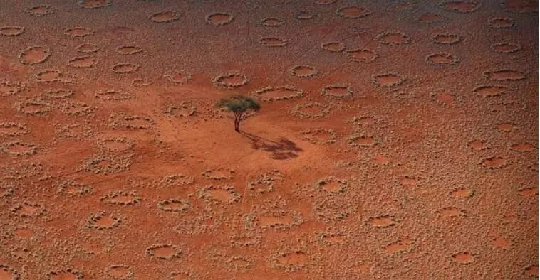 27张难得一见的图片看完眼界大开,18张令人大开眼界的图片