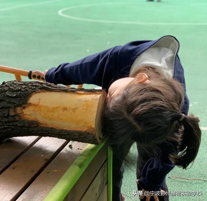 这所“相貌平平”的幼儿园，为什么宁波家长排着队想把孩子送进去