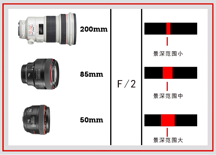 拍摄花卉的景深有哪些方法,如何运用和控制花卉摄影的景深