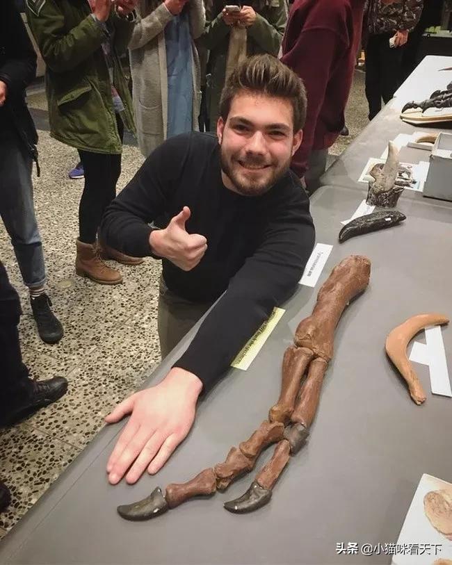 世界之大无奇不有各种各样的事情,无意中看到世界之大无奇不有