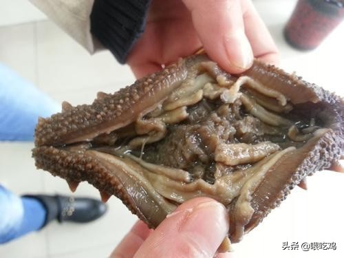 海参和什么炖汤养胃,海参加什么炖比较好给病人吃