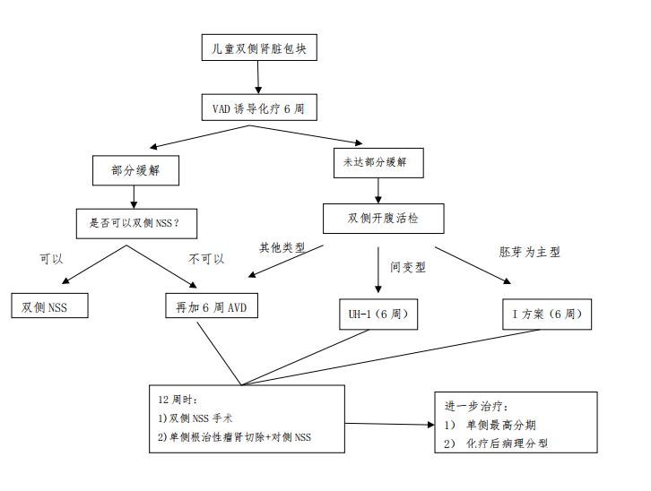 儿童肾母细胞瘤严重吗,儿童肾母细胞瘤最新治疗规定