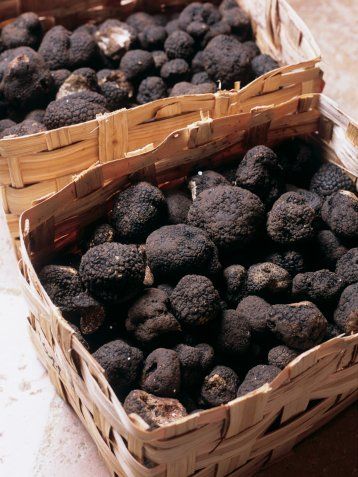 黑松露营养价值怎么样,黑松露的营养价值