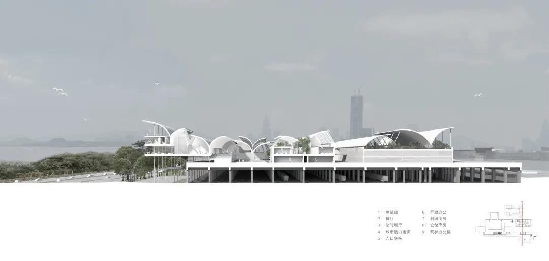 绾㈡爲鏋楁箍鍦板崥鐗╅,娣卞湷绾㈡爲鏋楁箍鍦板崥鐗╅浣嶇疆