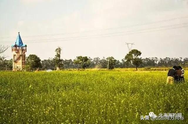北海市区有哪些好耍和好吃的,广西北海周边好吃好玩的农家乐