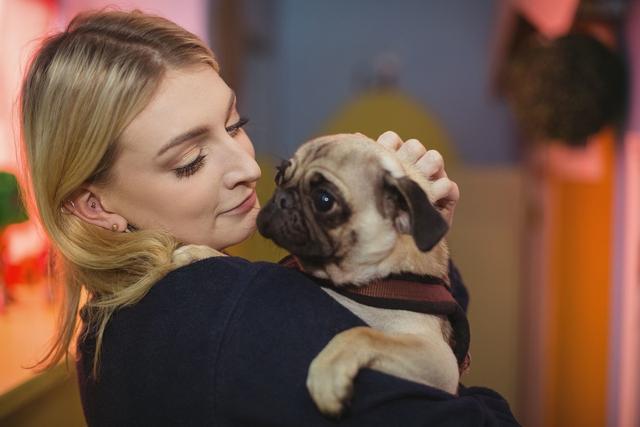 如果你有一只巴哥犬，那么不妨看看这篇文章，或许会收获许多