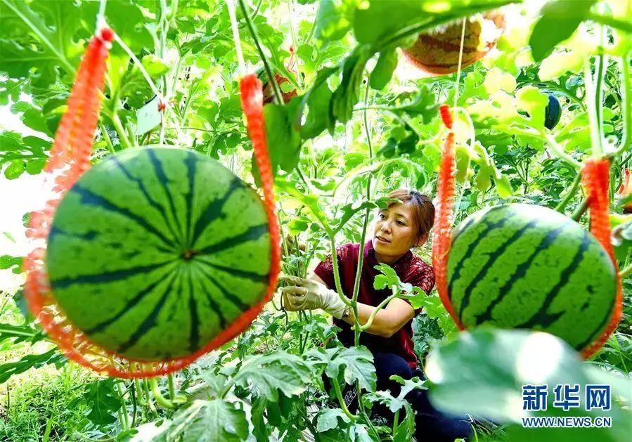 有颜值有气质才是乡村的新模样,既有颜值又有气质