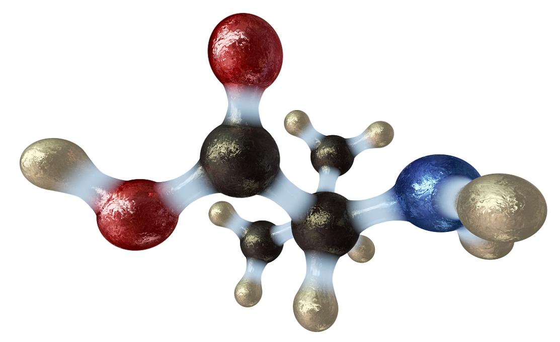 氨基酸的分离与鉴定纸层析法,氨基酸的分离鉴定