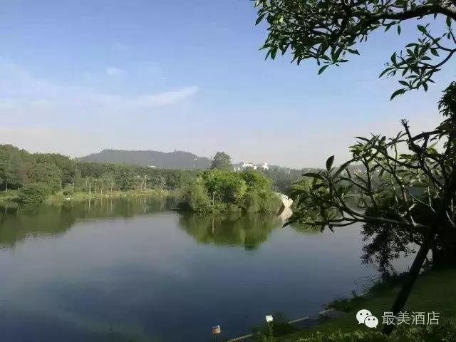 2019年最舒适的酒店,国内最美野奢酒店