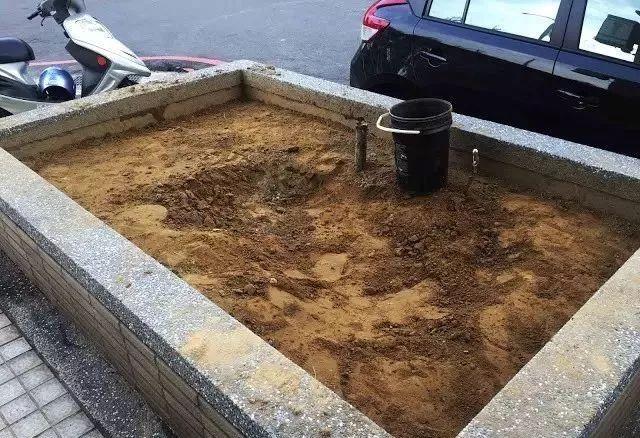 鱼池如何改造成花池,花池改鱼池如何做过滤