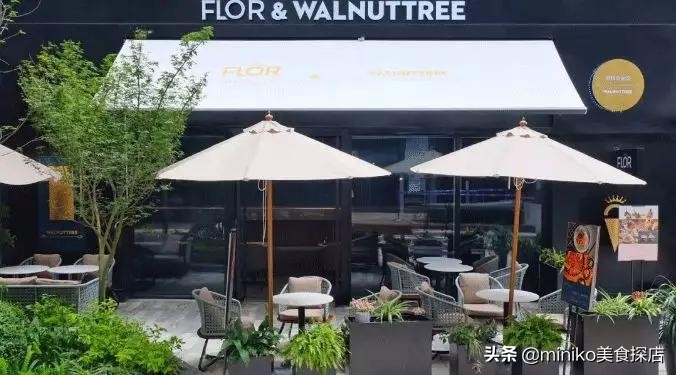 鍙彛鍙箰涓栫晫娓哥帺,鍙彛鍙箰鏈潵涓栫晫涔愬洯