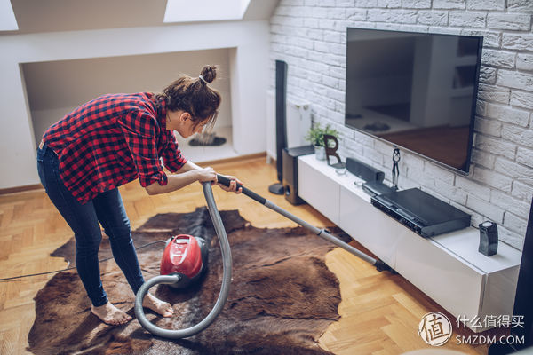 养猫必备的清洁猫毛工具,清洗猫毛的正确方法