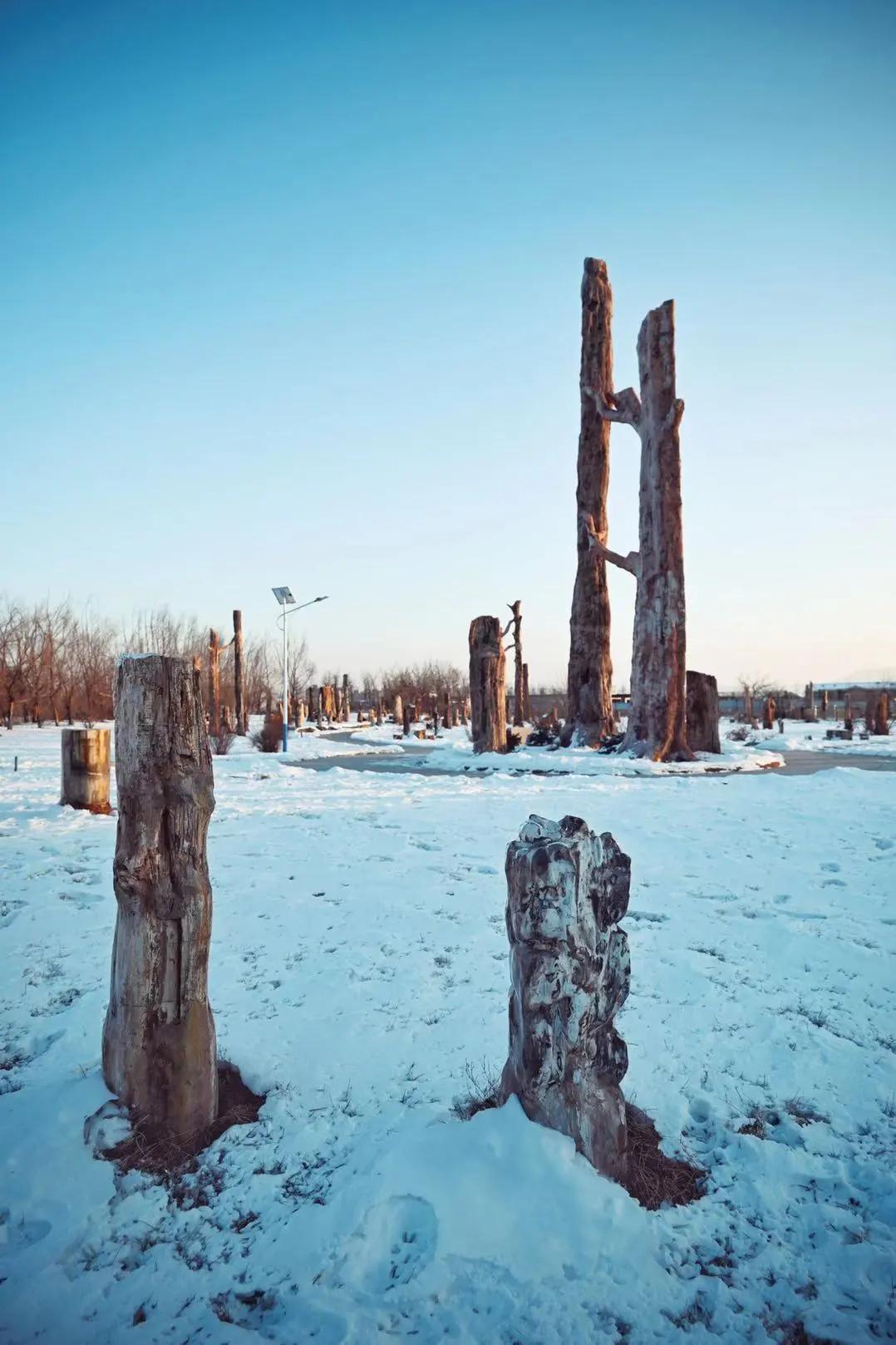 初见长春,第一次雾凇之旅不虚此行