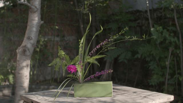 北京京郊女孩抱团养老村,北京山里抱团养老