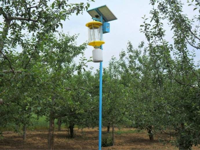 如何防治果树虫害,果树虫害识别与防治