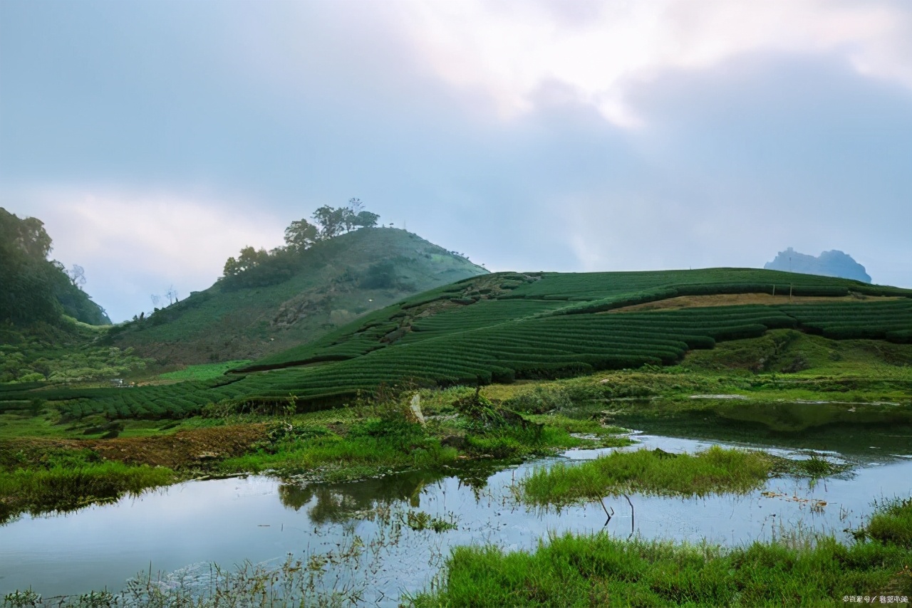 成长感悟类作文中考800字怎么写,小学生中考之后的感想作文怎么写