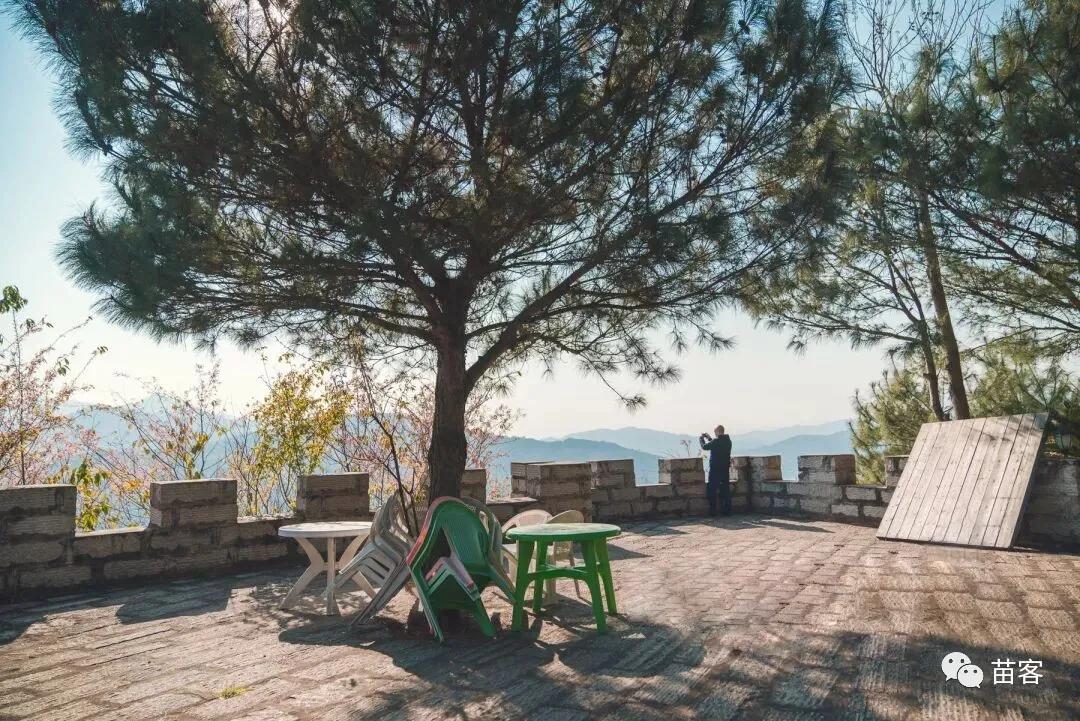 微时光田东,微时光美好生活