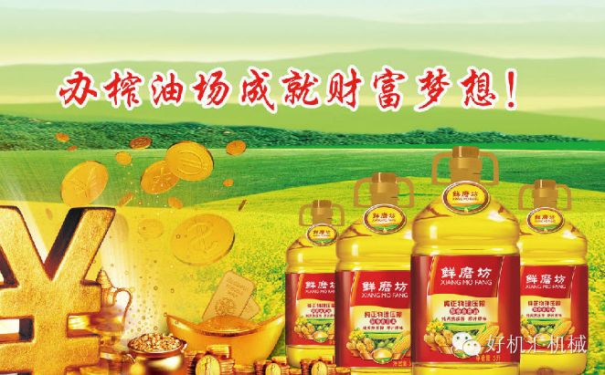 开个榨油坊怎么样,开榨油坊一年赚多少钱