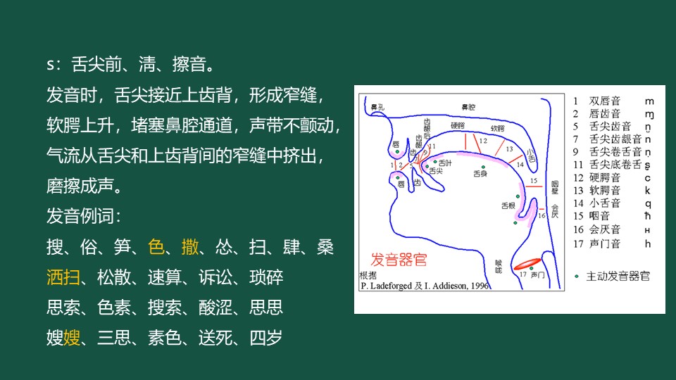 声母s和q发音不标准,声母s的口语发音