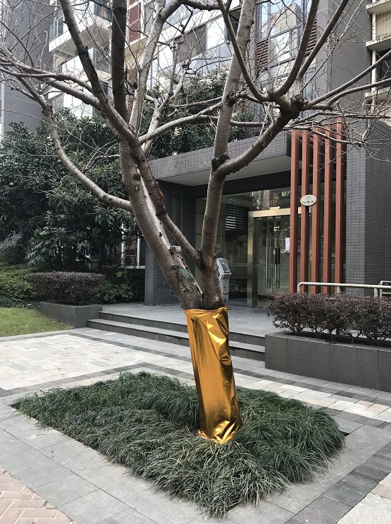 交付10年，涨幅1024%！曾经无人问津的楼盘，现在成了啥样？