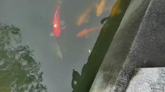 SnoppaVmate掌上防抖云台相机深度评测：日常视频轻松直出