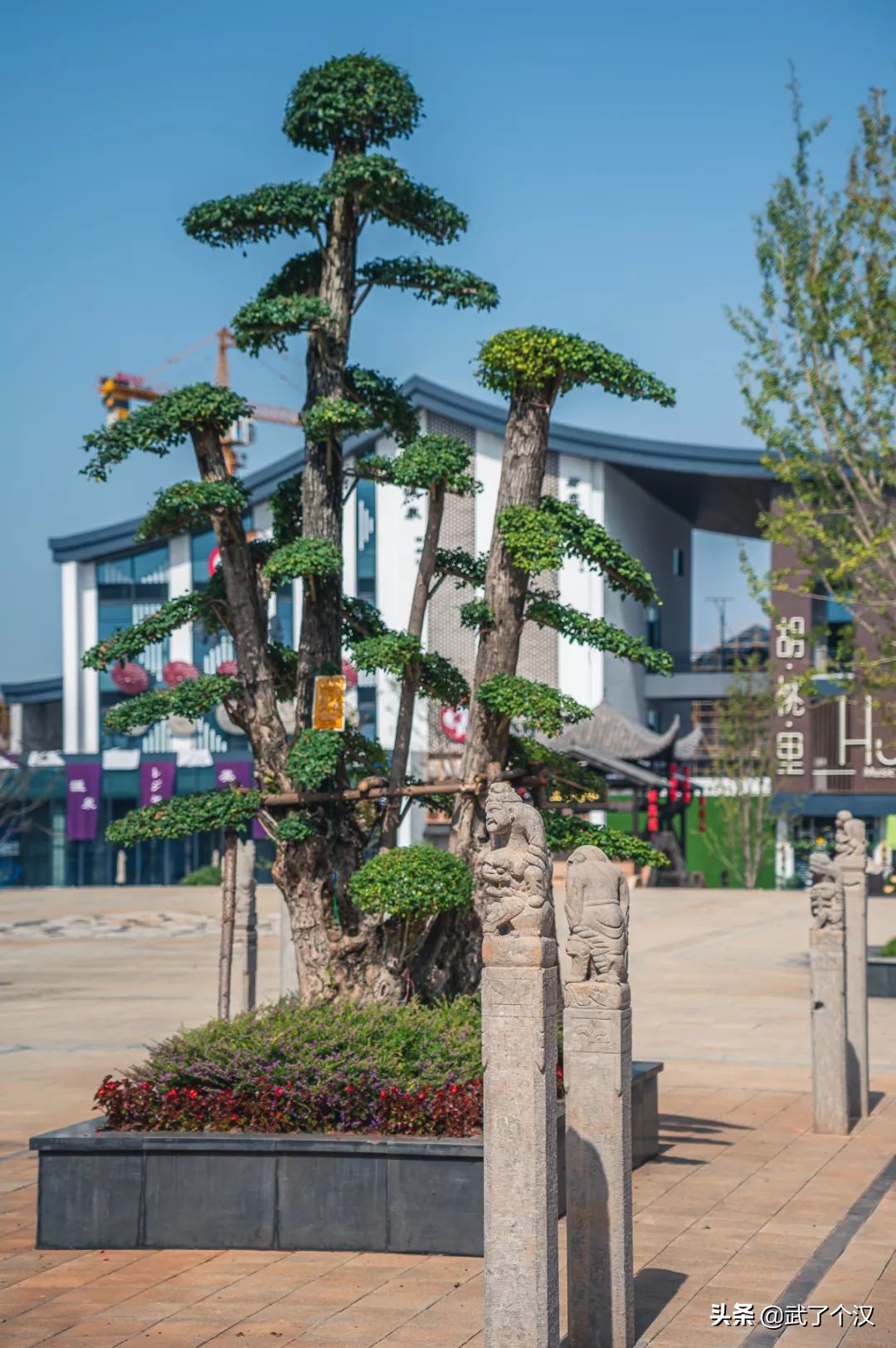 武昌向南择墅而居,这或许是你离理想生活最近的一次