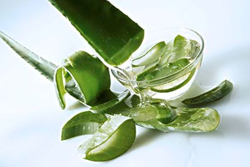 芦荟沉浸式护肤有助睡眠,纯天然芦荟植物怎么护肤